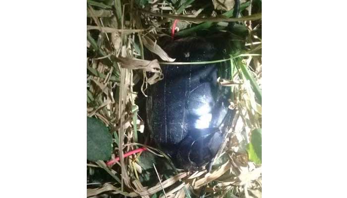 বেগুনকে বোমা ভেবে রাতভর আতংক চট্টদগ্রাম বিশ্ববিদ্যালয়ে