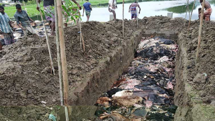 এবার চামড়ার বাজার চরম বিপর্যয় রপতানী আয় হুমকীর মুখে