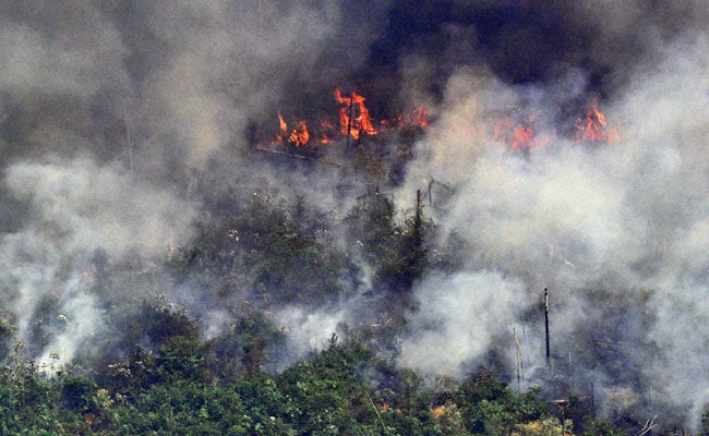 জ্বলছে ব্রাজিলের অ্যামাজন সাহায্যে বলিভিয়া, বিমান ভাড়া করে আগুন নিভানোর চেষ্টা