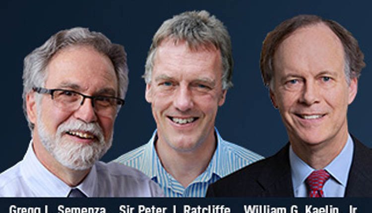 নোবেল পুরুস্কার পেলেন চিকিৎসা ৩ বিজ্ঞানী