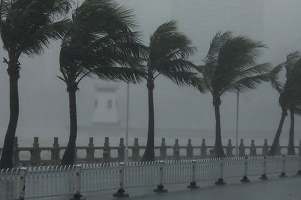 ধেয়ে আসছে ঘুর্ণিঝড় নাকরি বুলবুলের প্রভাব এখনো কাটেনি